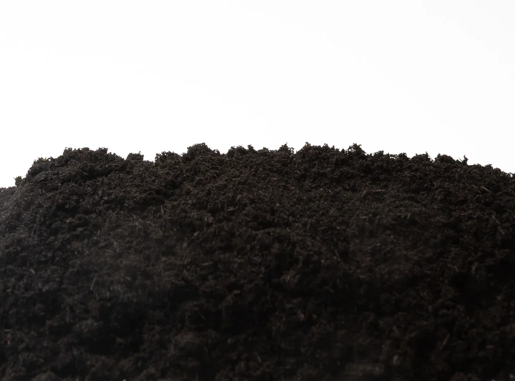 Progreaux sugarcane bagasse biochar