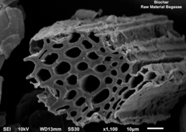 biochar